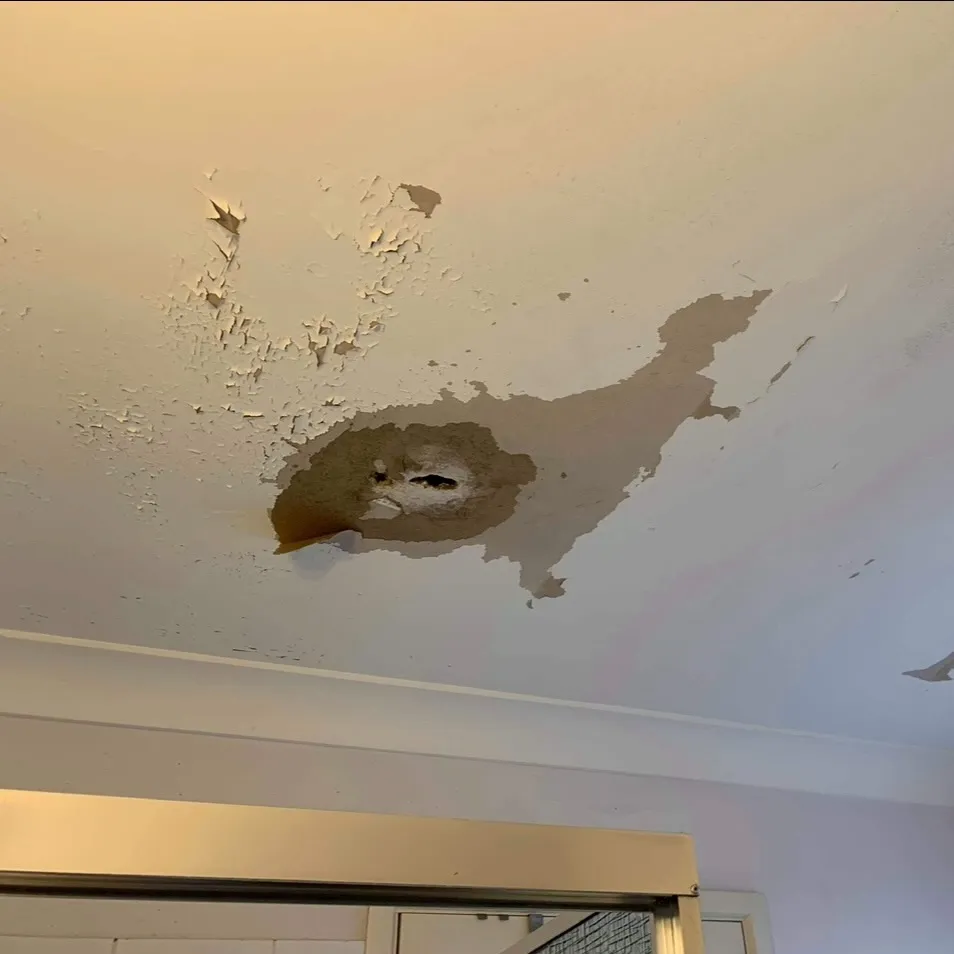 Water damaged ceiling before patch repair in Rangeville by KGW Builds